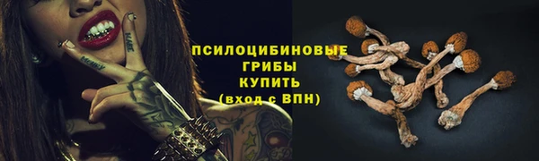 скорость Тавда