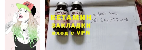шишки Аркадак