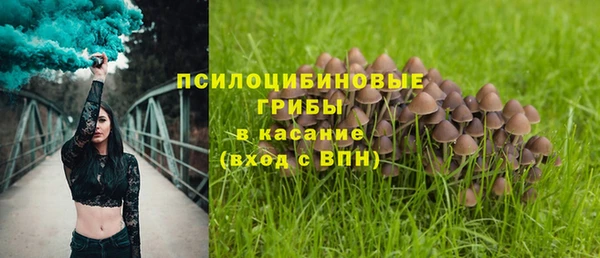 экстази Сясьстрой